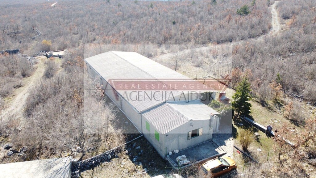 Image 10