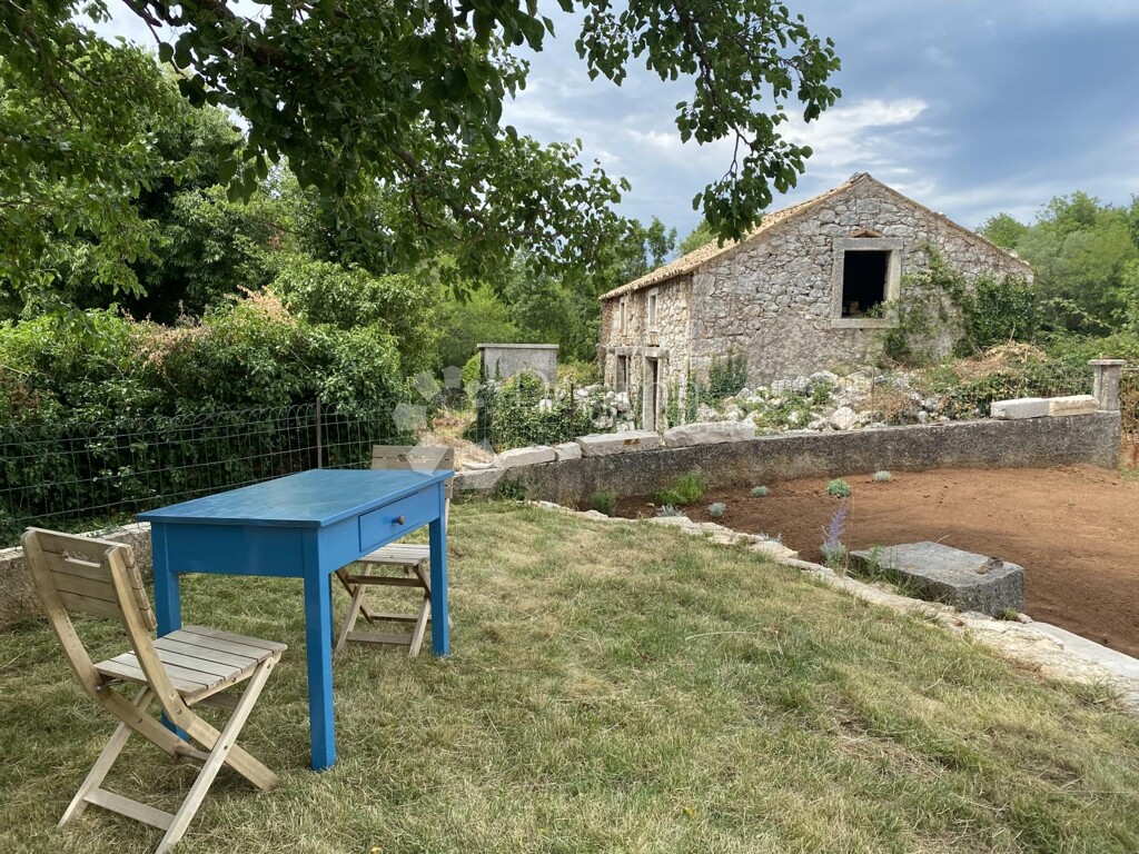 Image 21