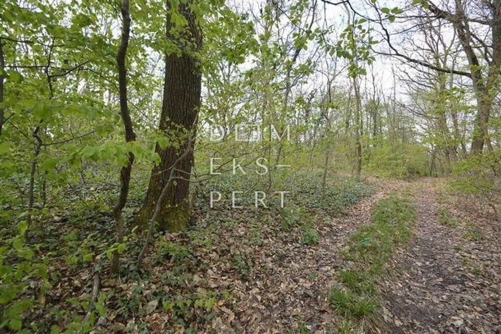 Image 5622173 - 4