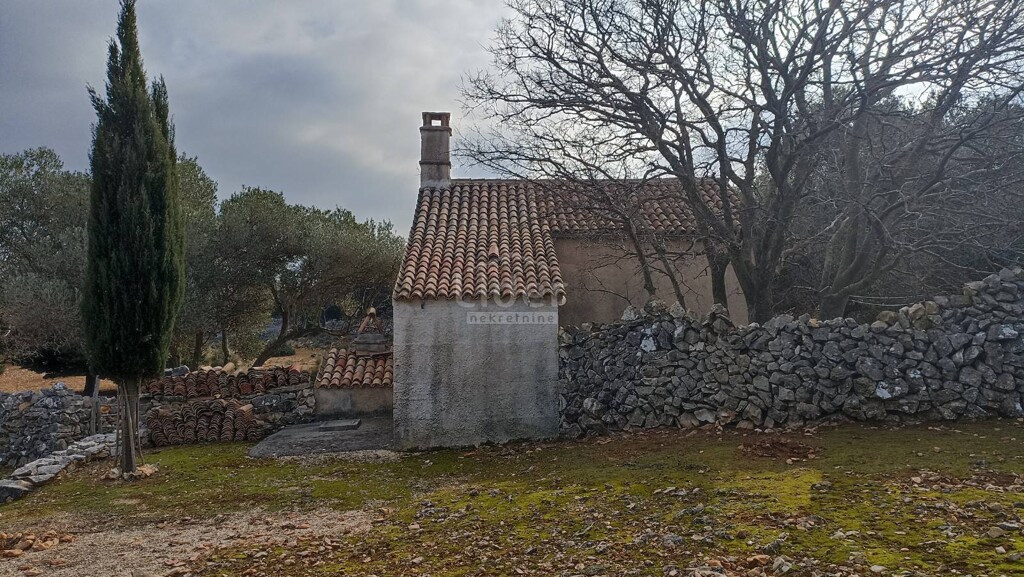 Image 10