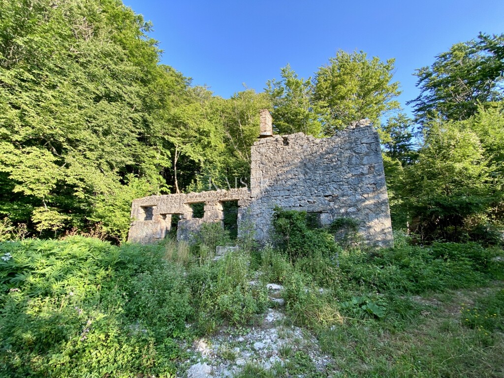 Image 17
