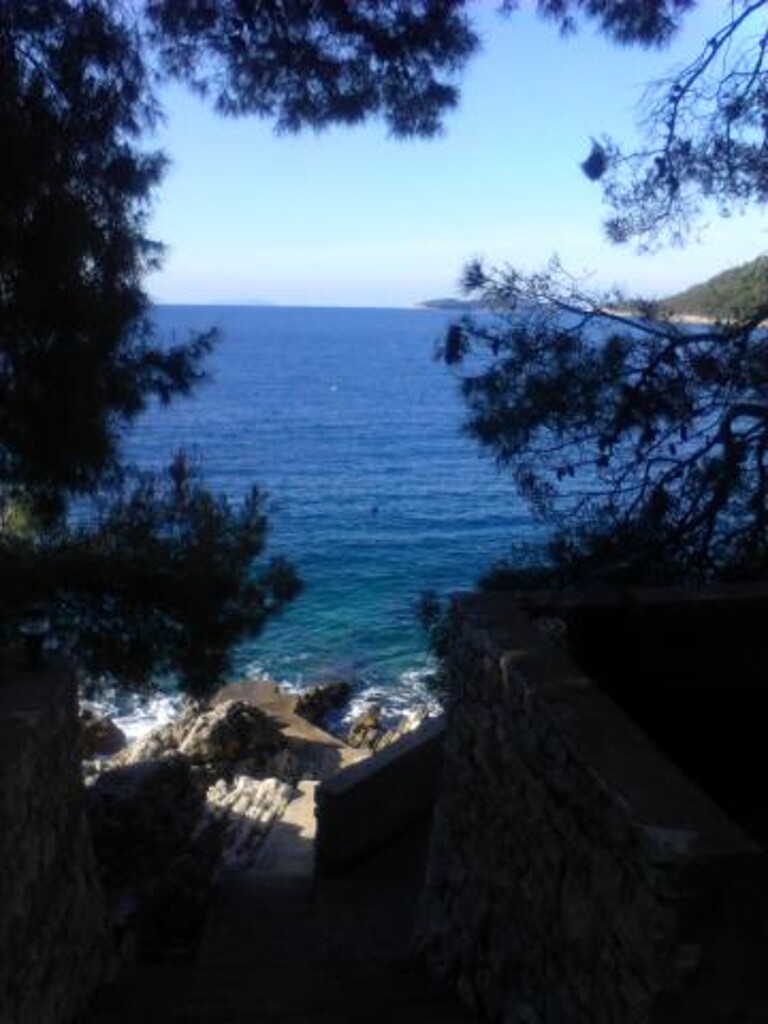 Image 3812593 - 7