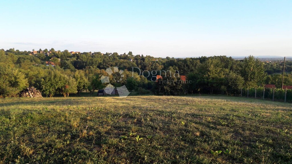 Image 13