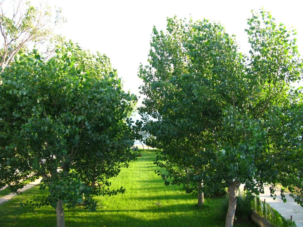 Image 3810742 - 5