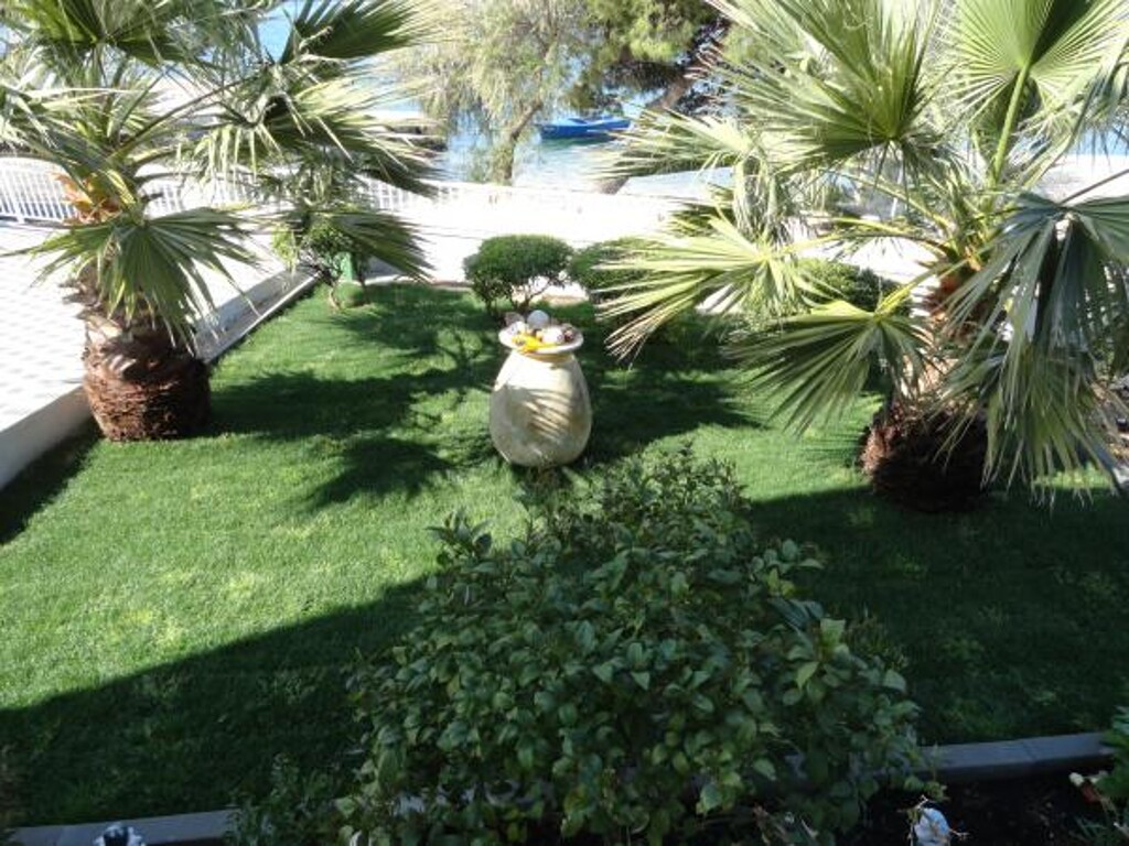 Image 3811955 - 5