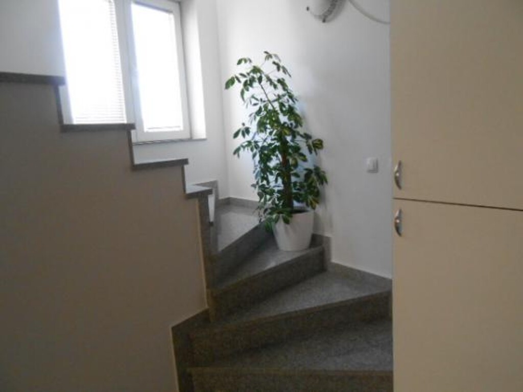 Image 3838887 - 5