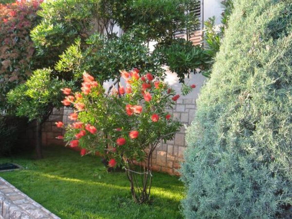 Image 3810659 - 4