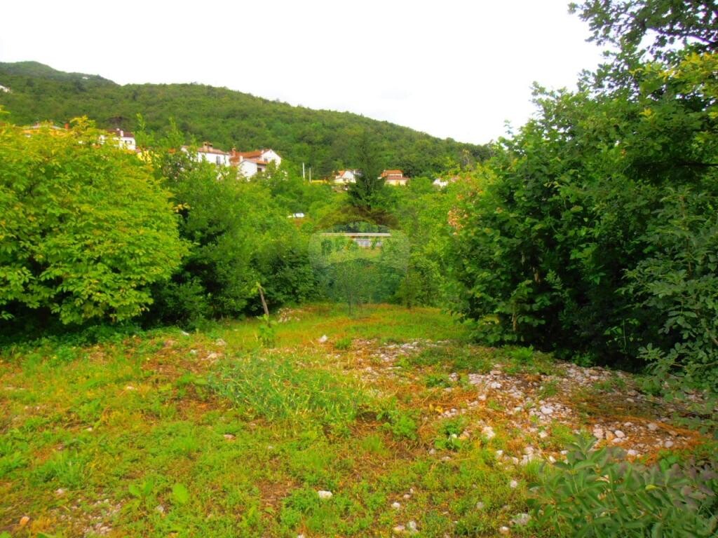 Image 5411006 - 8