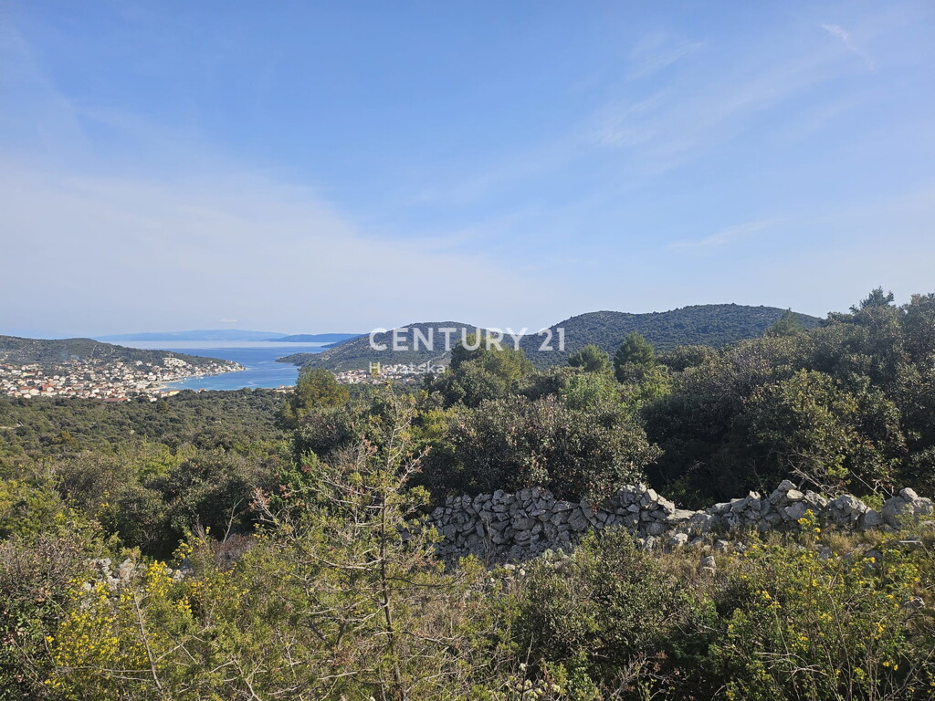 Image 13