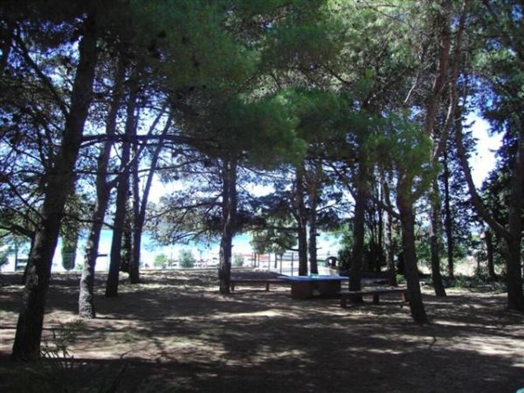 Image 3812511 - 5