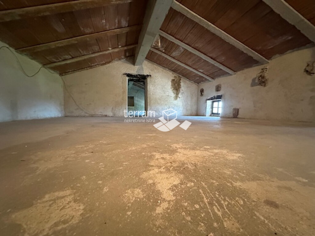 Image 16