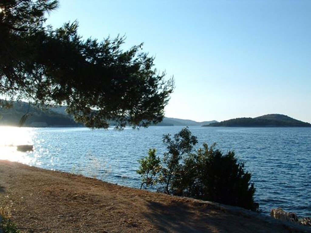Image 3813331 - 5