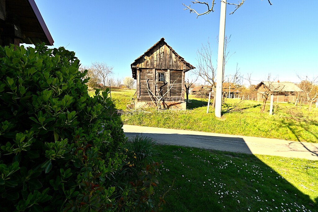 Image 23