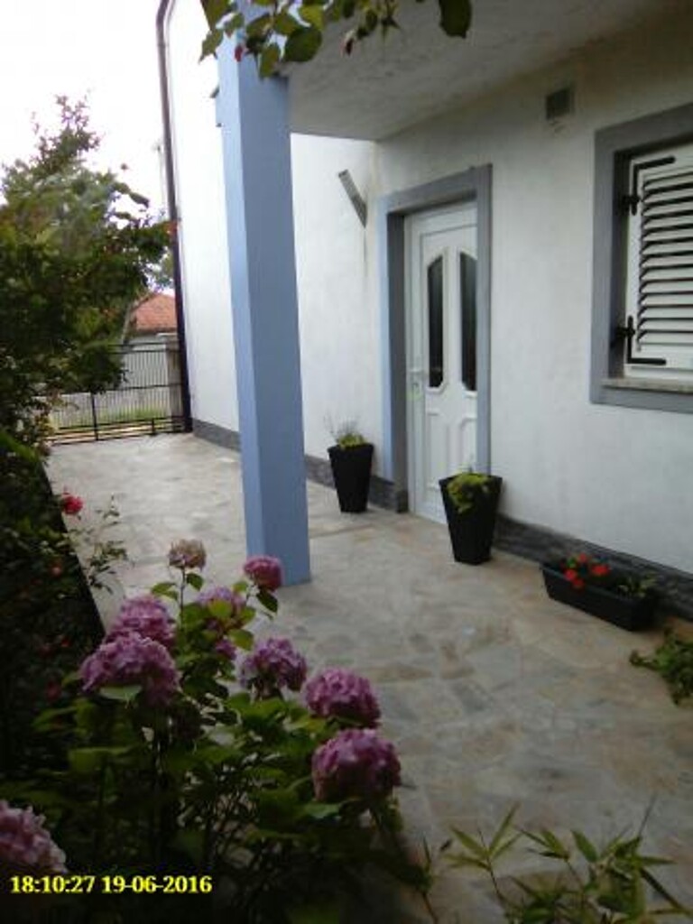 Image 3810558 - 11