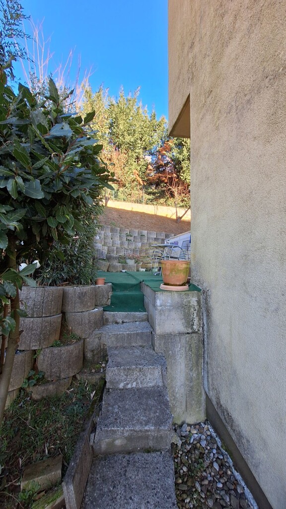 Image 16