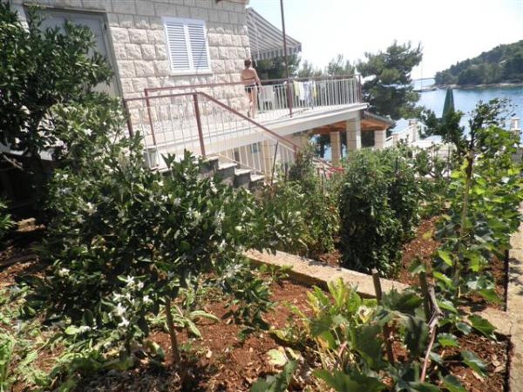 Image 3838566 - 8