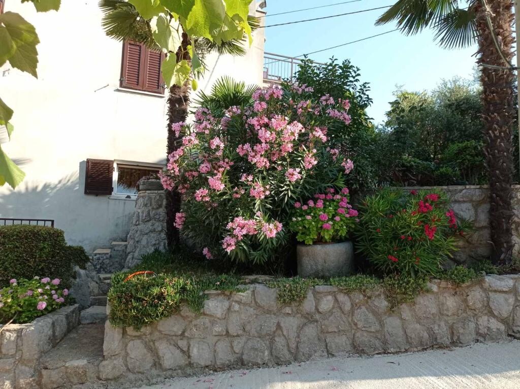 Image 3838689 - 18