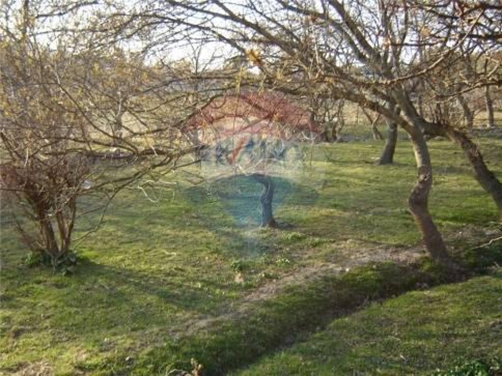 Image 5410447 - 12