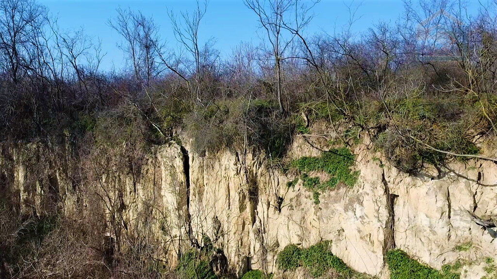 Image 13