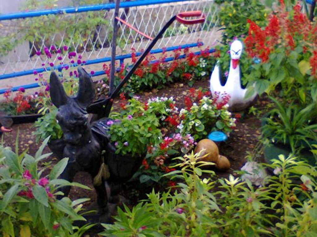 Image 3812411 - 1