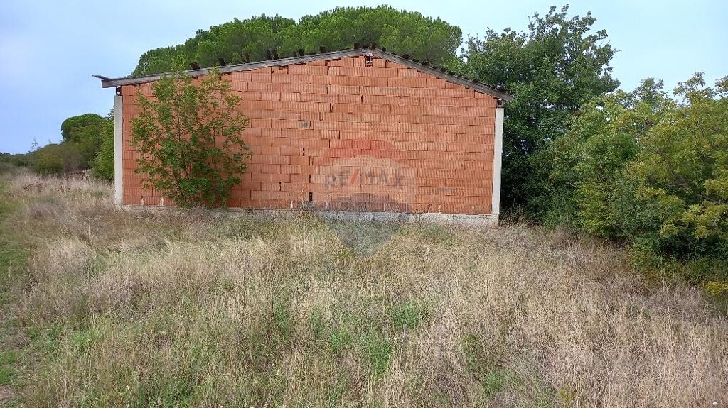 Image 5473481 - 10
