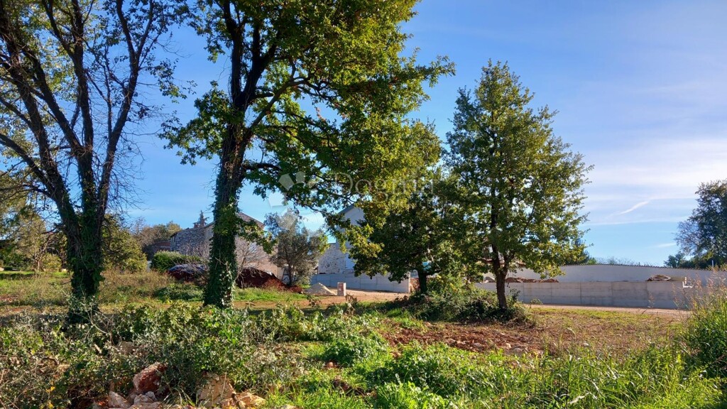 Image 12