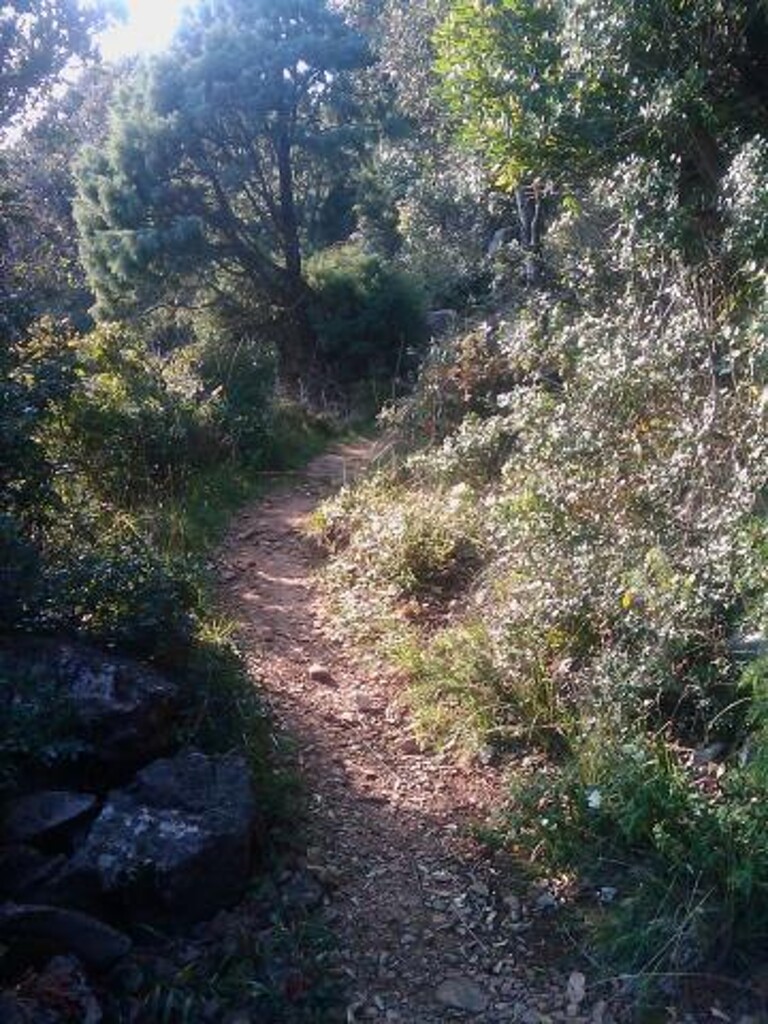 Image 3814955 - 17