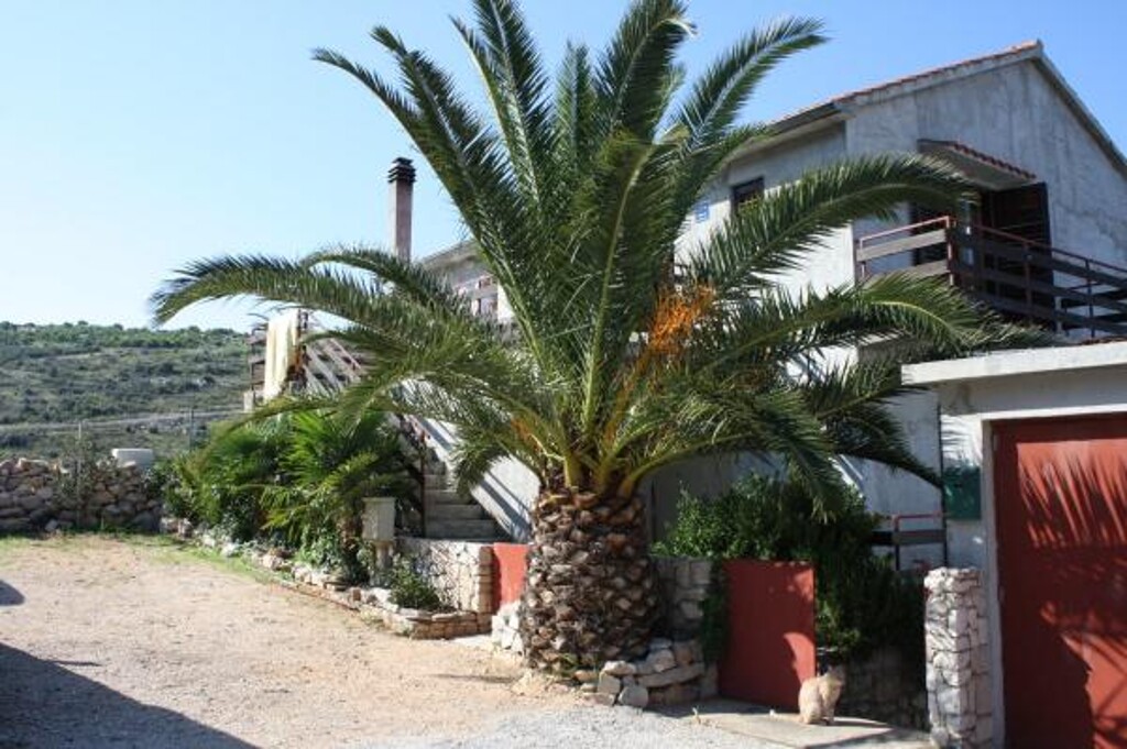 Image 3812000 - 15
