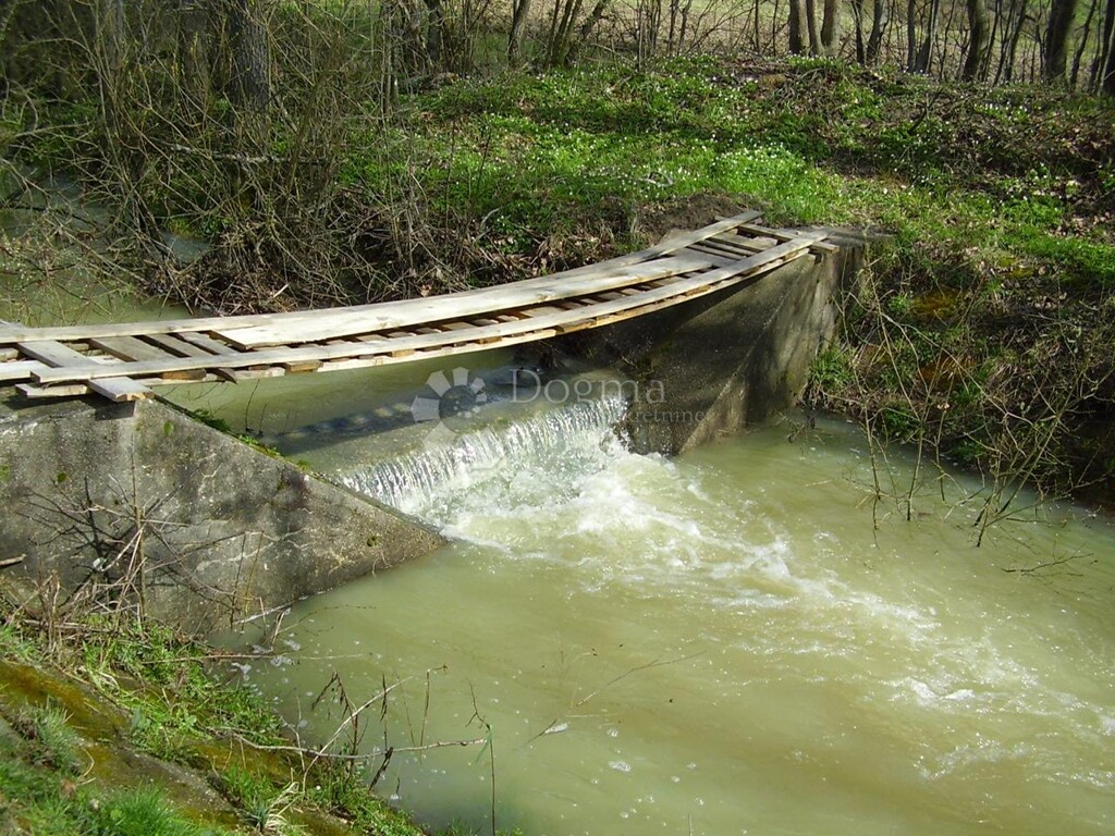 Image 18