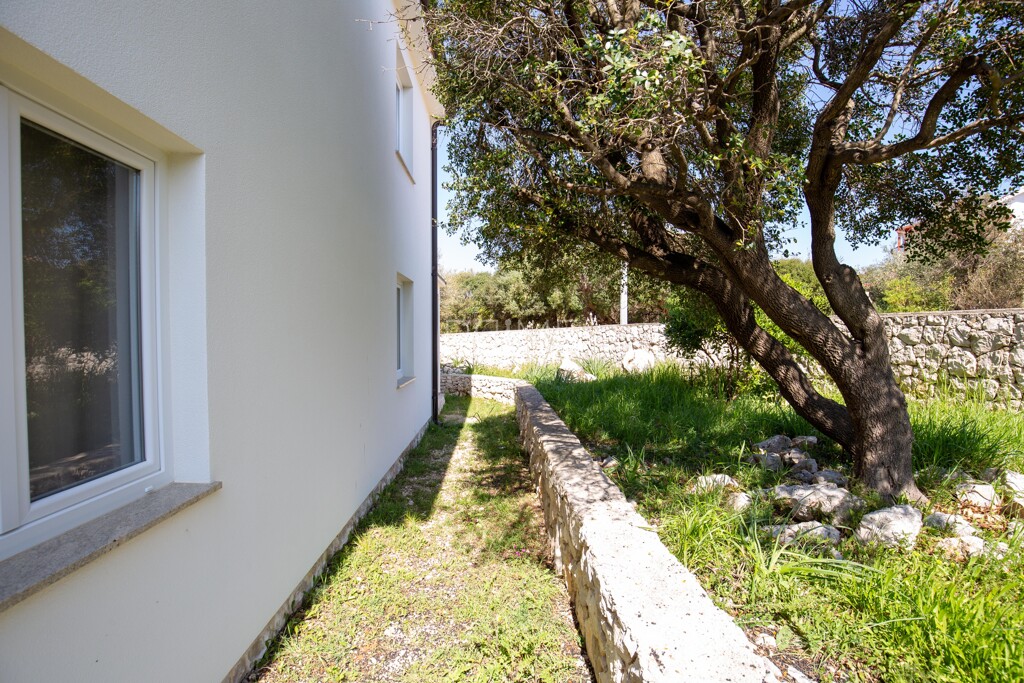 Image 14
