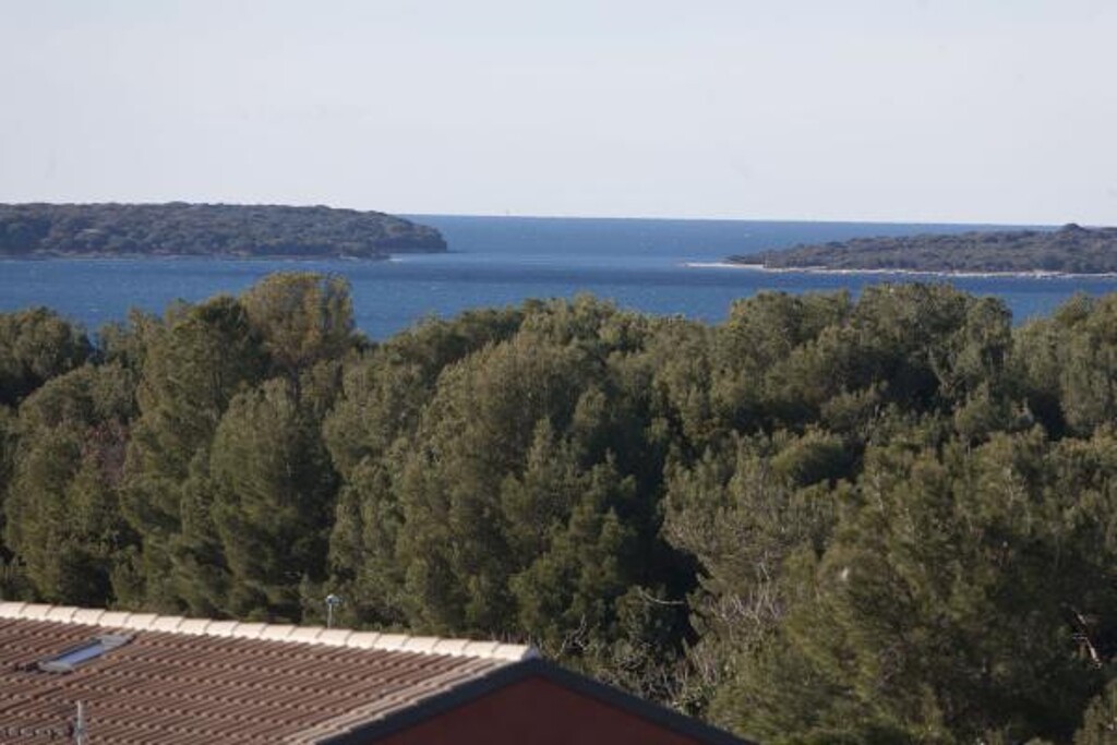 Image 3815118 - 14