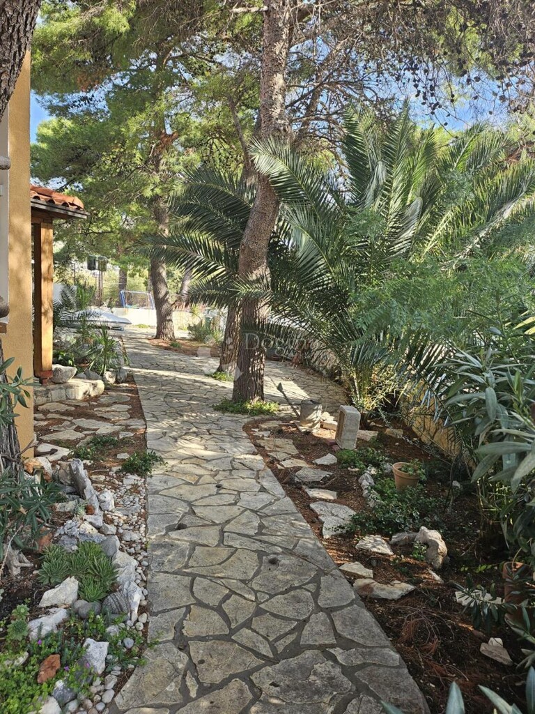 Image 15