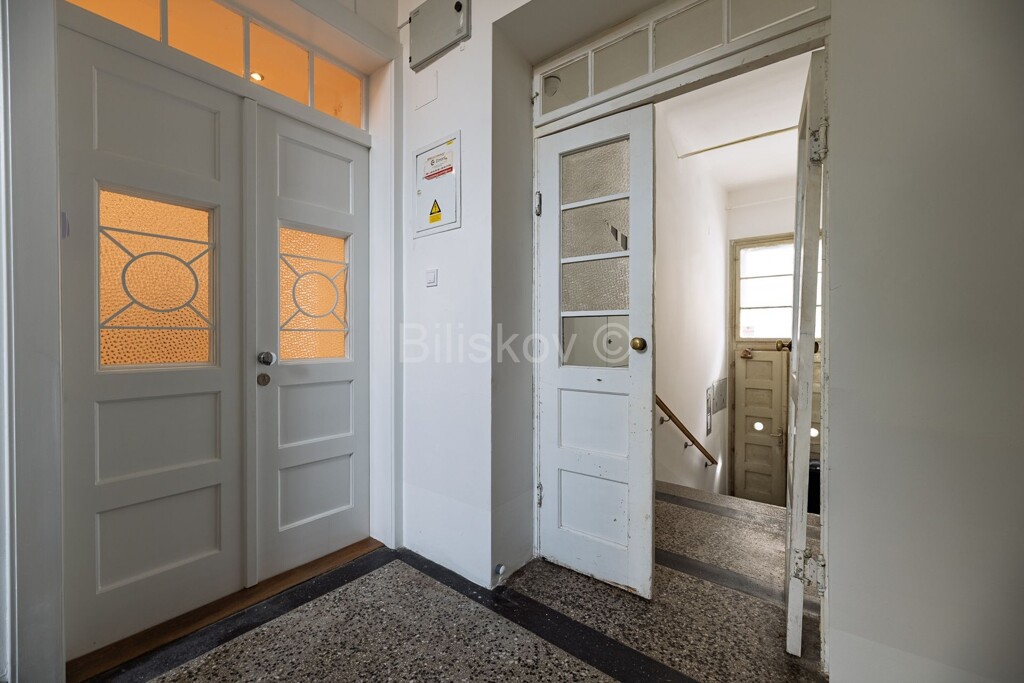 Image 13