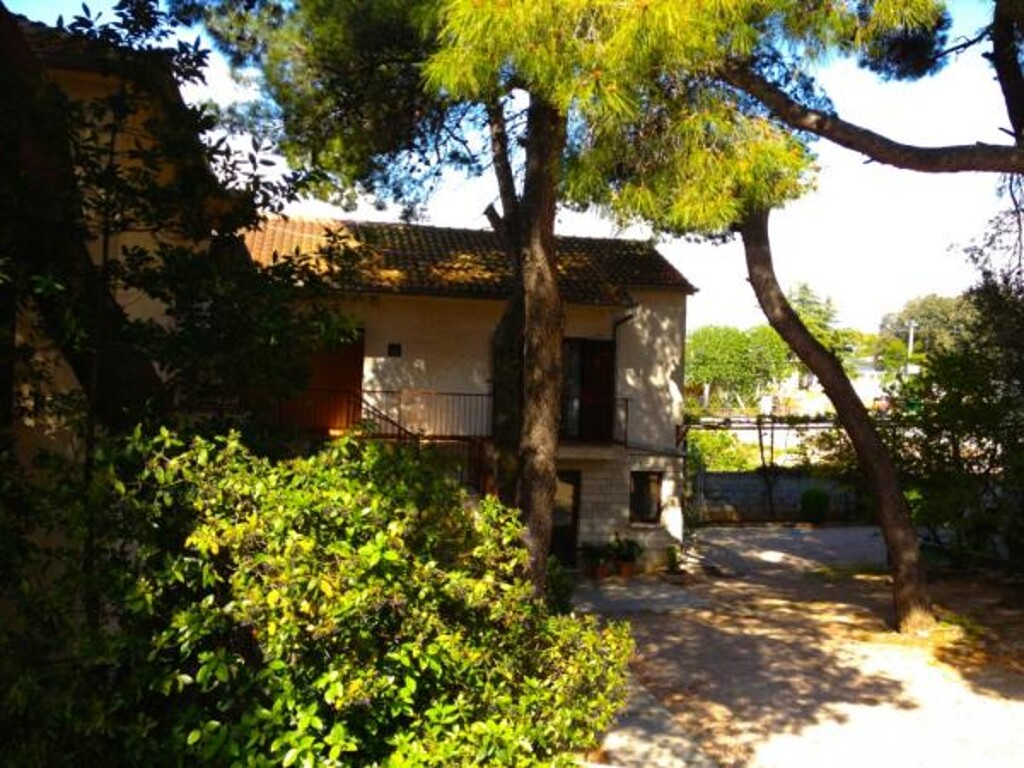 Image 3838542 - 1