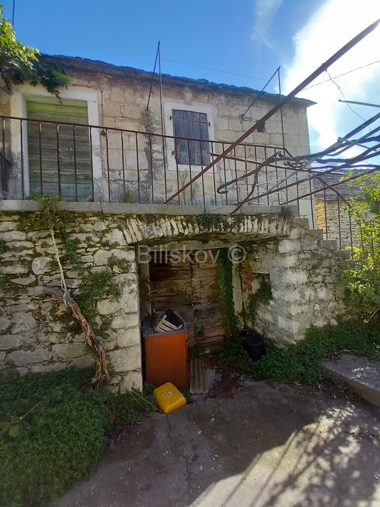 Image 6140906 - 2