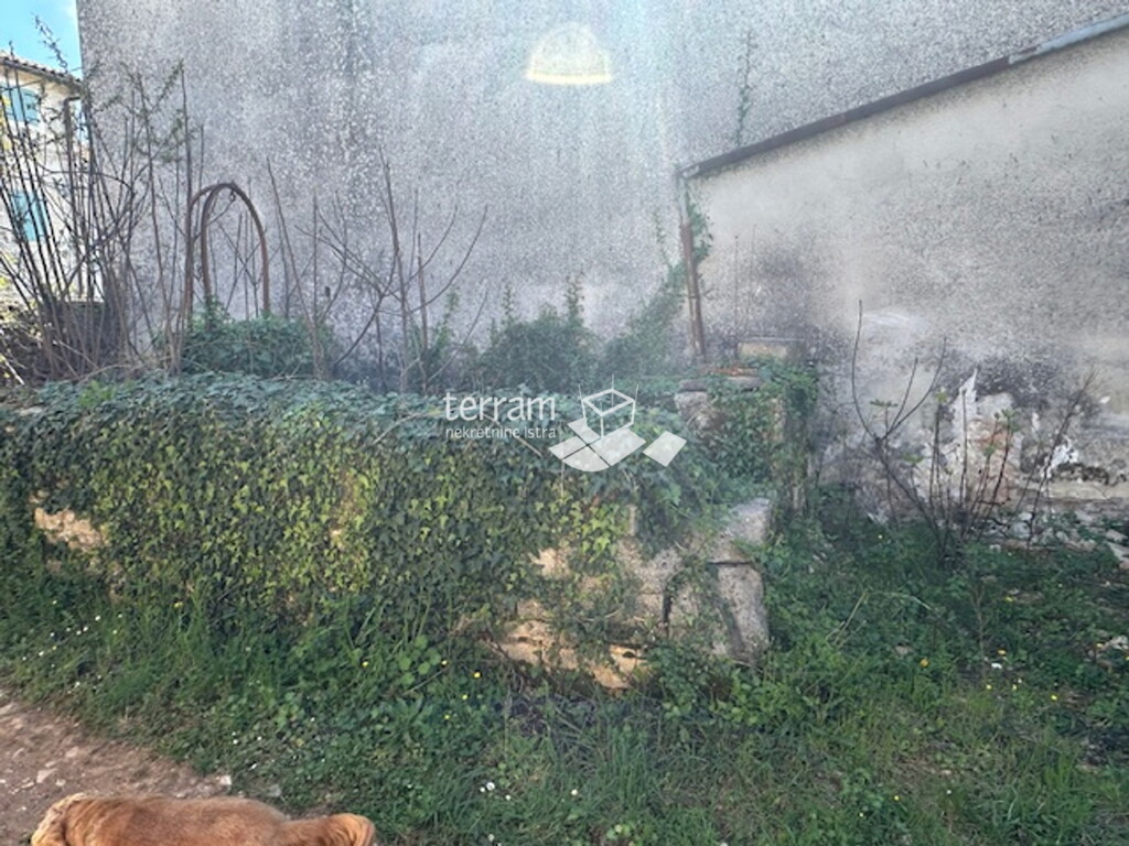 Image 16