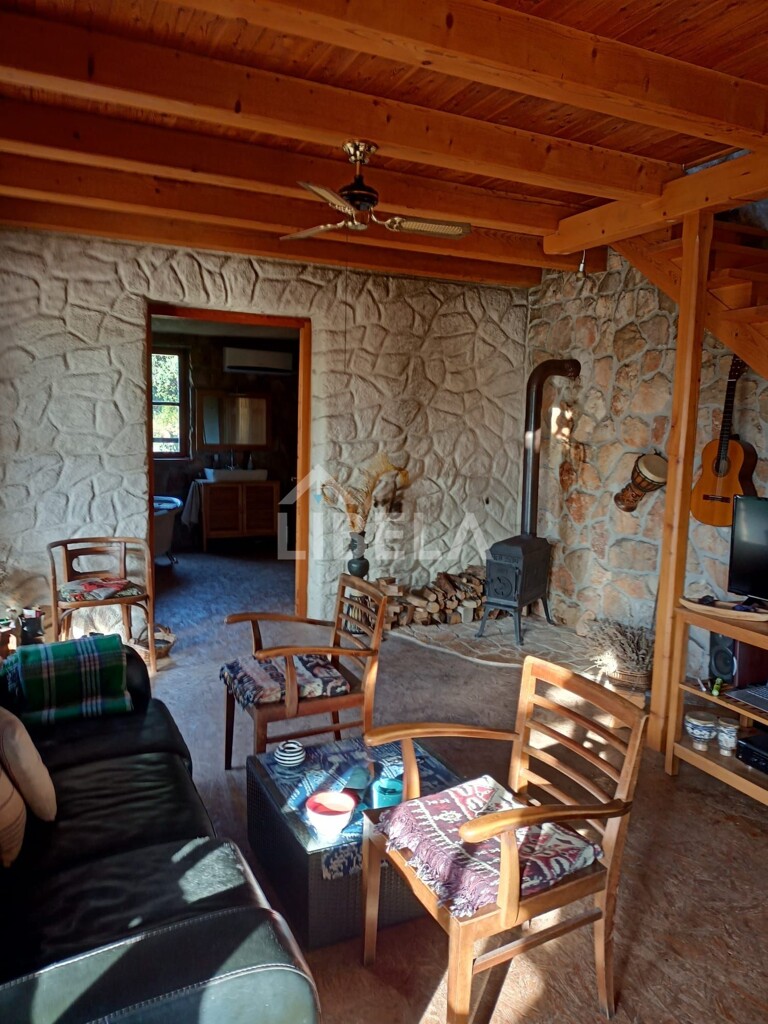 Image 13