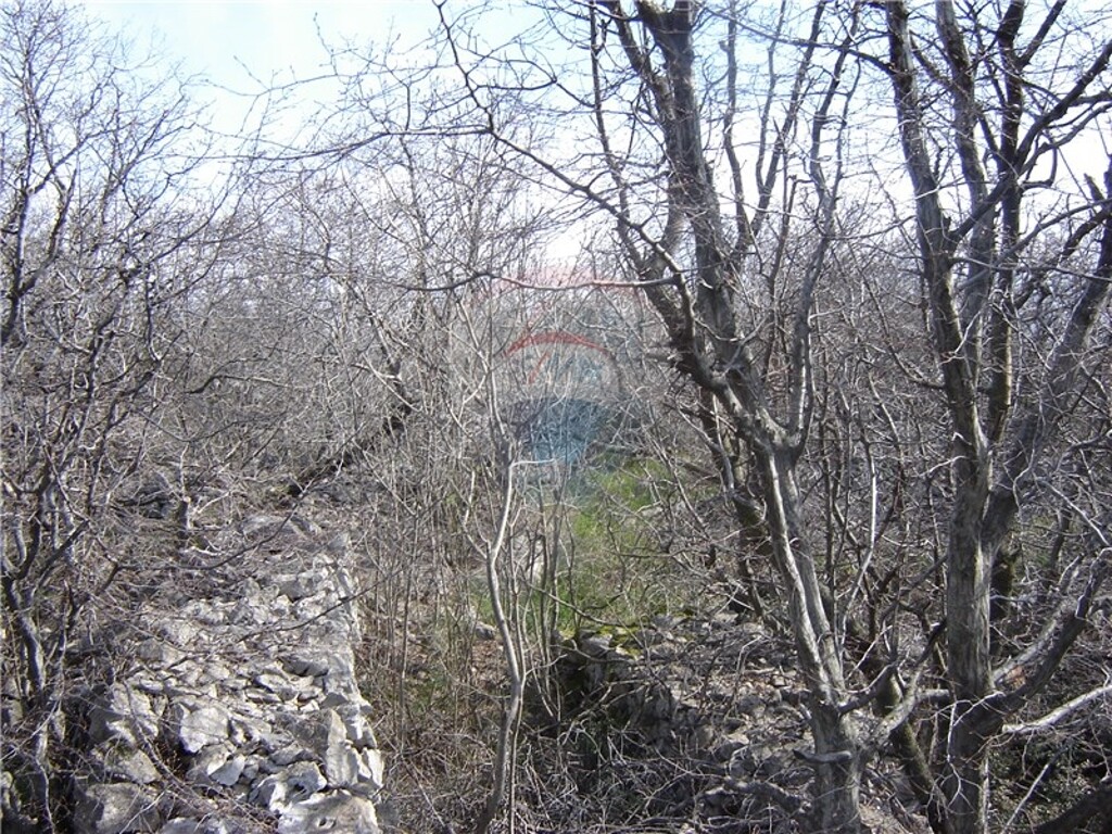 Image 5411064 - 1
