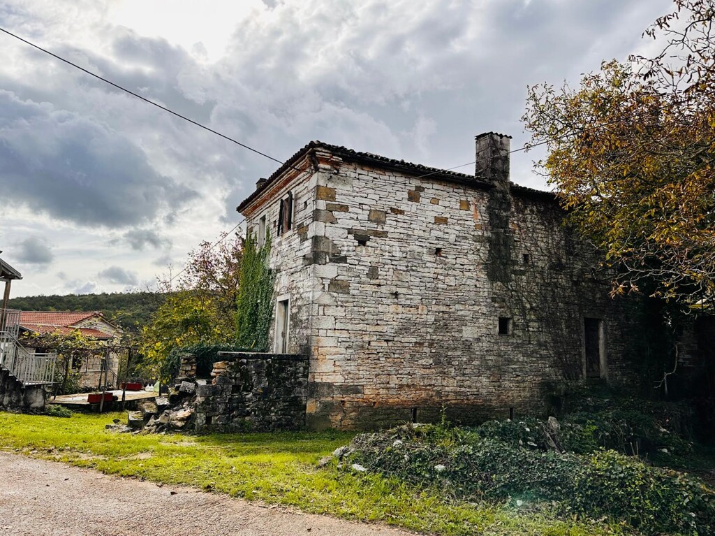 Image 19