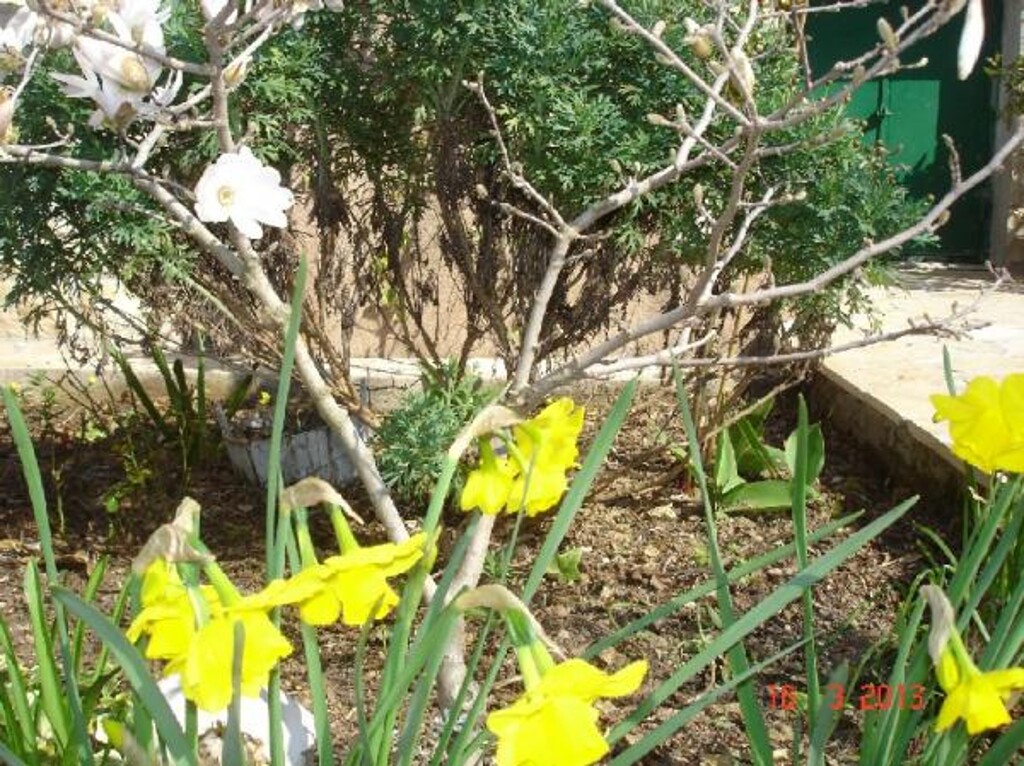 Image 3811096 - 16