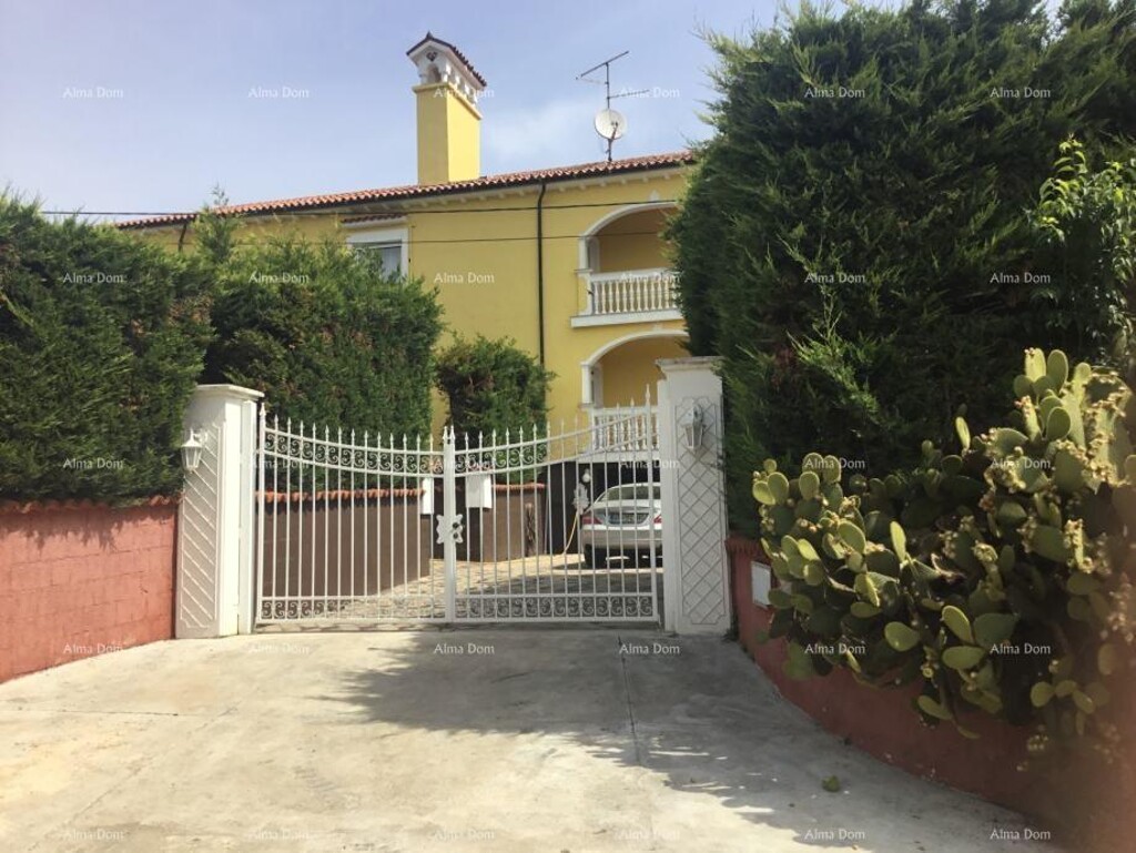 Image 9