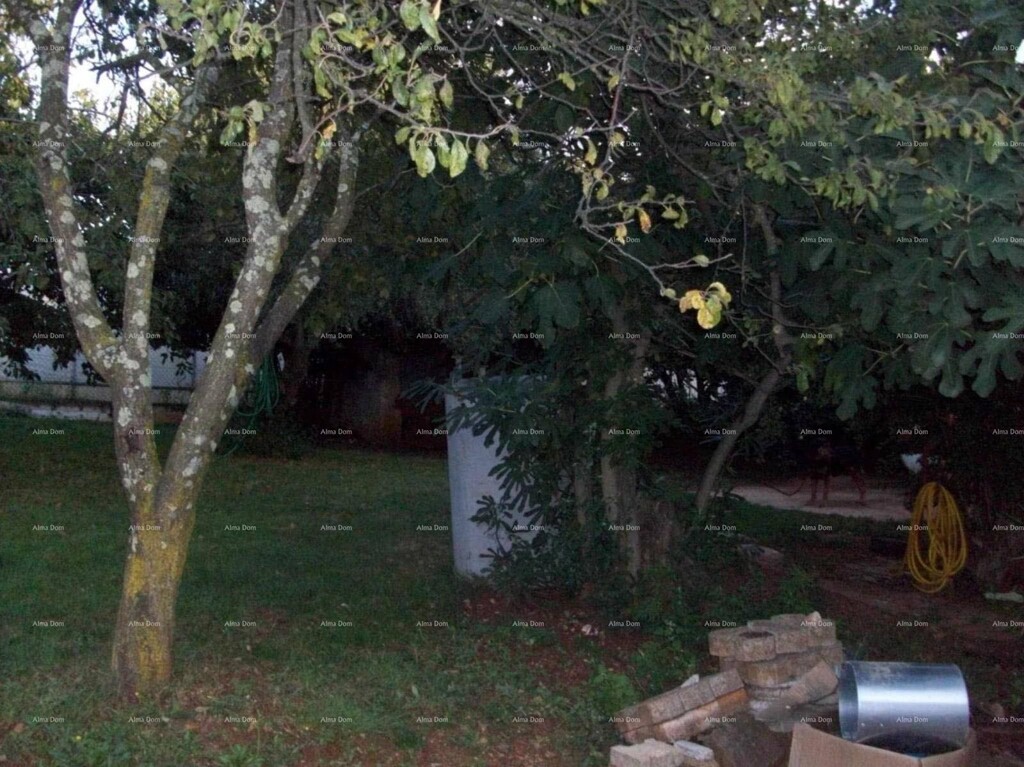 Image 15