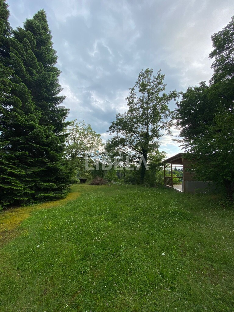Image 24
