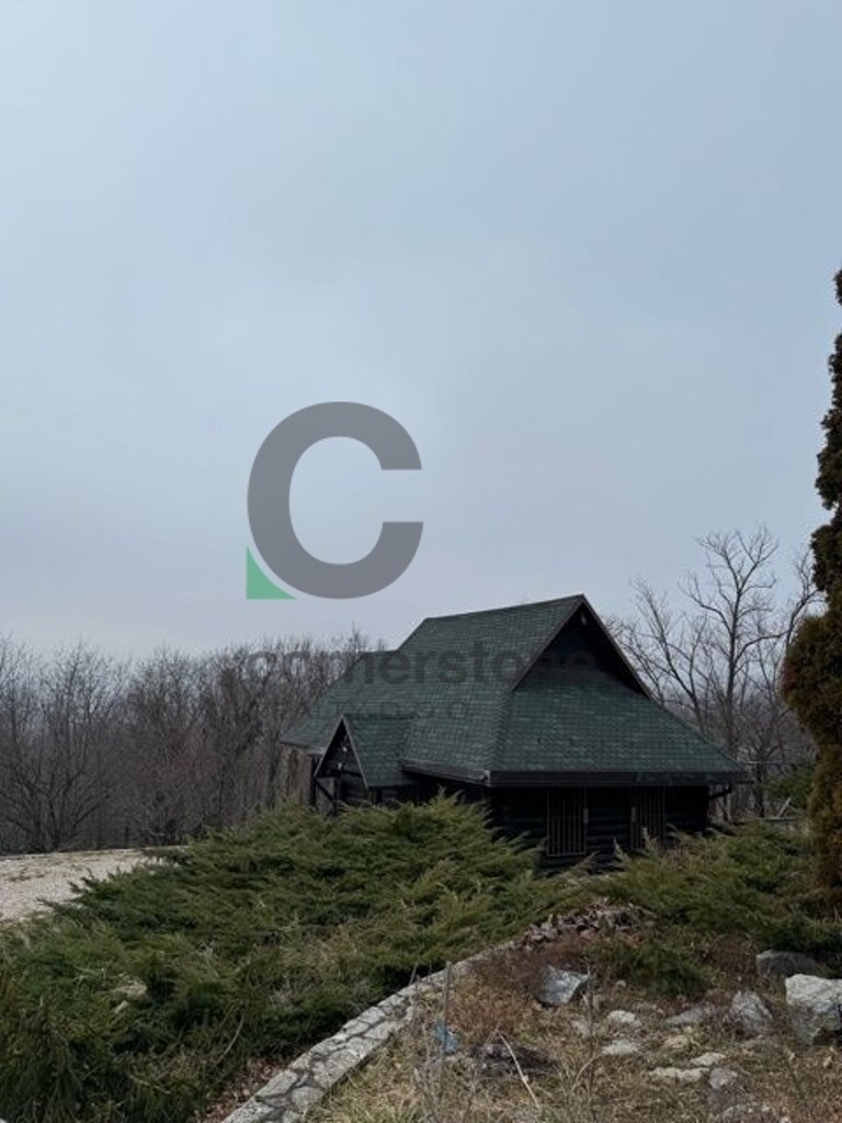 Image 13