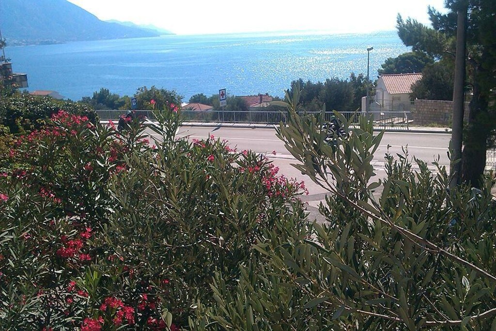 Image 3814153 - 5