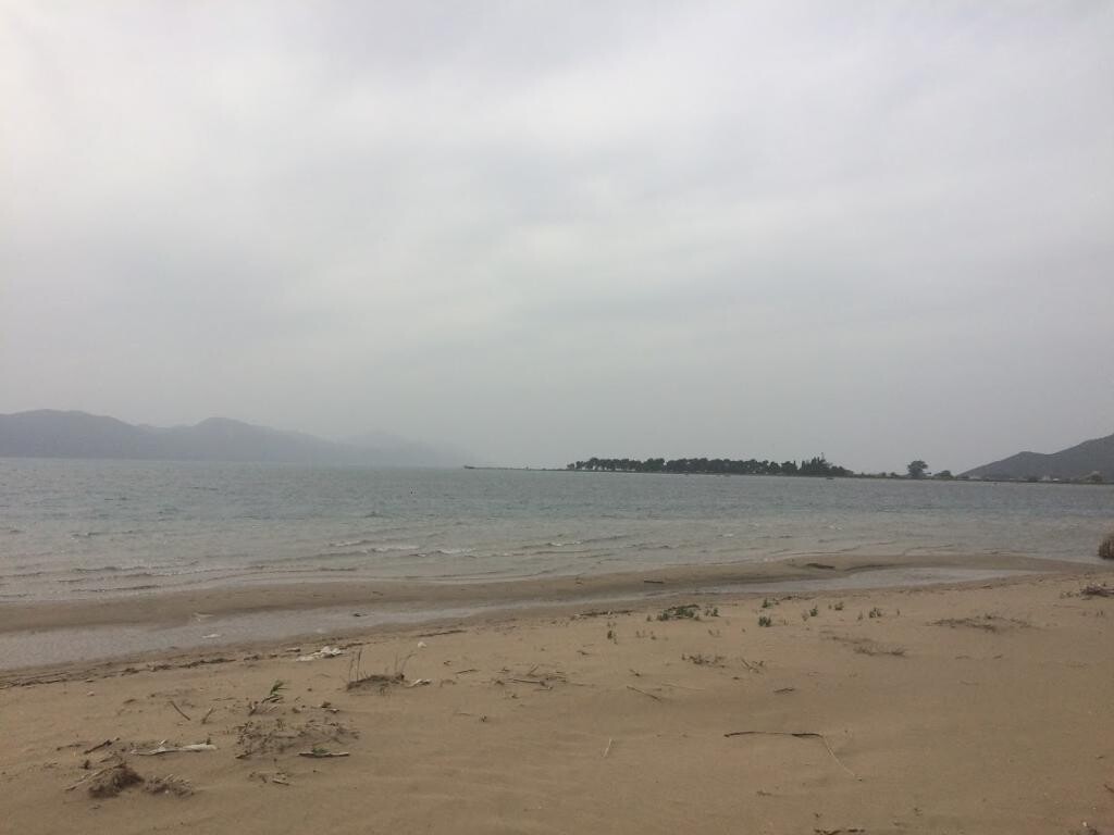 Image 3811882 - 12