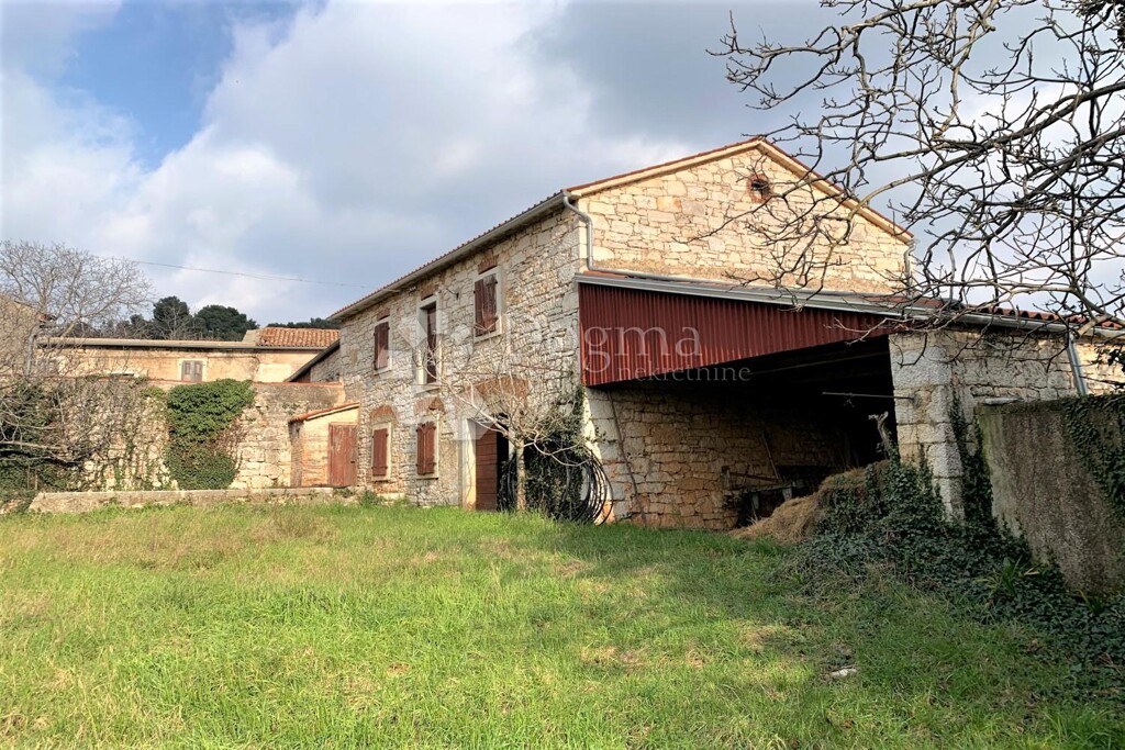 Image 21
