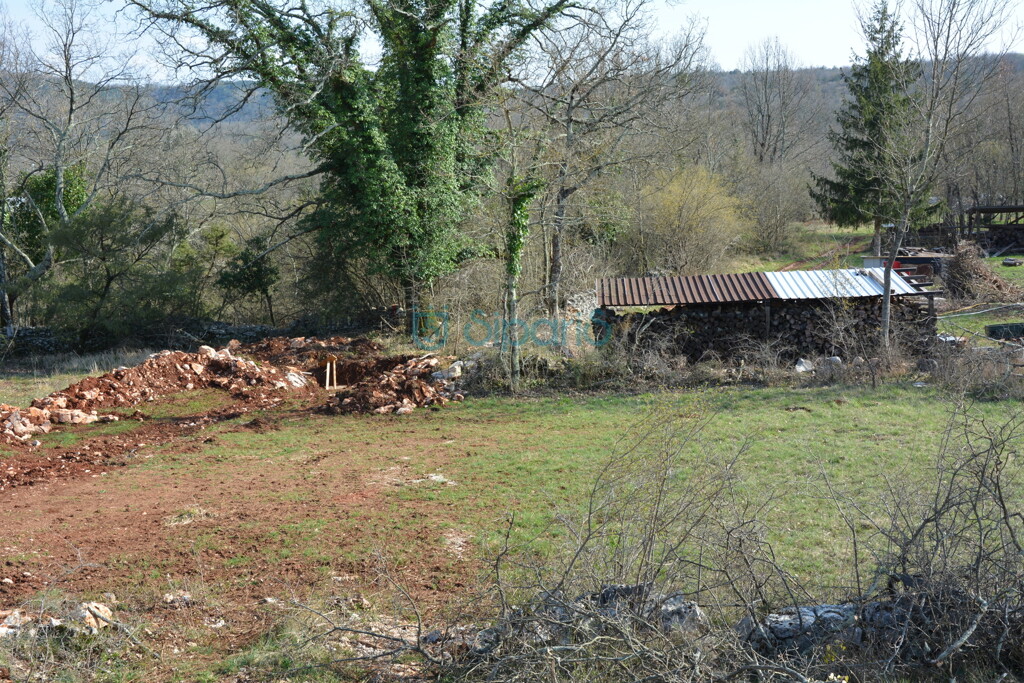 Image 14