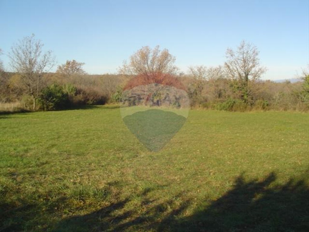 Image 5410924 - 2