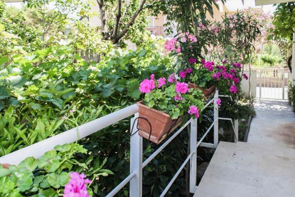 Image 3810840 - 6
